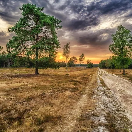 בקתה Fairytale House - Enchanted Getaway In Bospark *